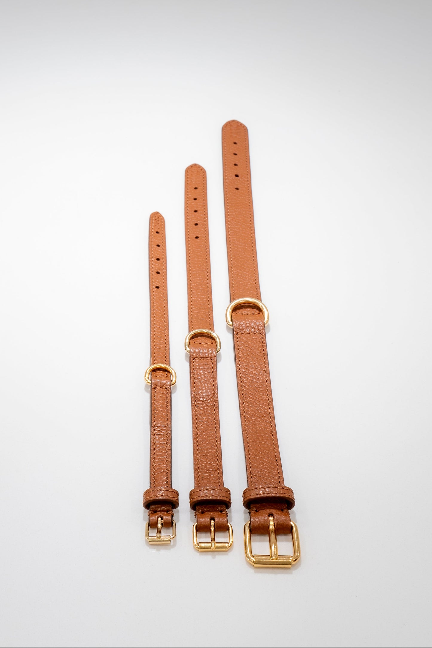 Three brown leather collar with gold buckles