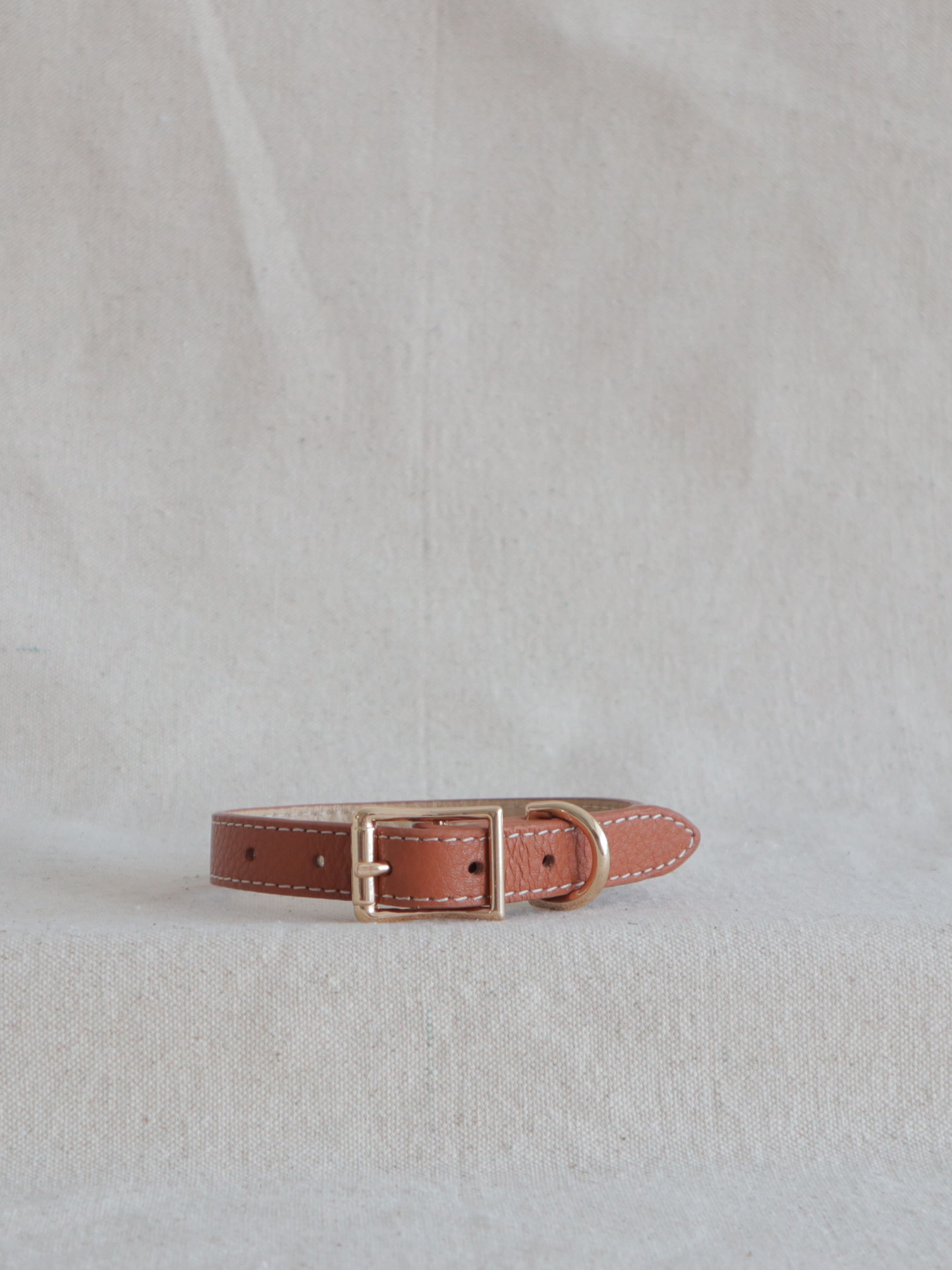 The Classic Collar
