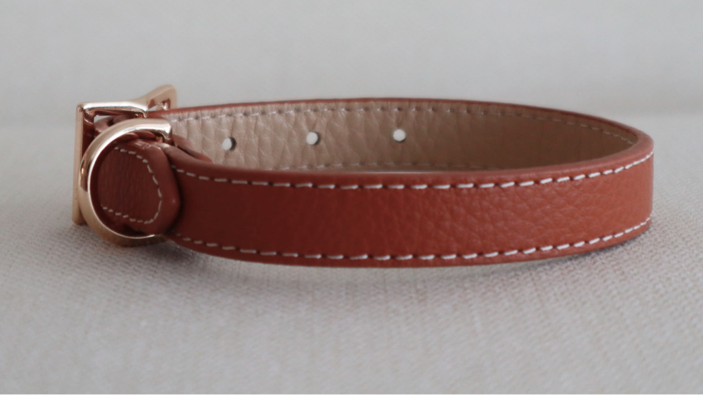 The Classic Collar