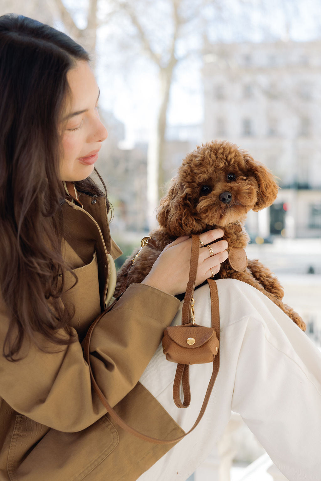 A PARC companion wearing leather accessories outdoors