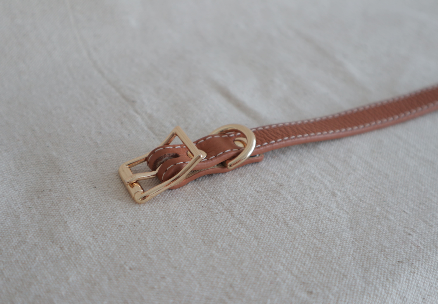 The Classic Collar